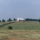 Ingleside Farm & Stables
