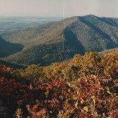 White's Gap