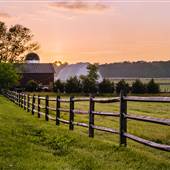 East Lynn Farm
