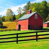 Whippoorwill Manor Farm