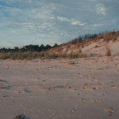 Eastern Shore Beachfront