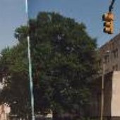Walter Hoffman U.S. Courthouse