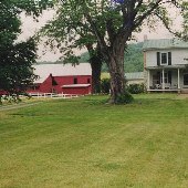 Graves Mill Farm
