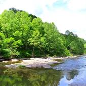 Bull Creek Pedestrian & Bike Trail