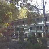Yellow Sulphur Springs