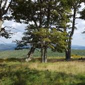 Bear Mountain