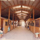 Hare Forest Farm