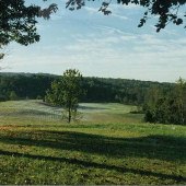 Coalson Farm