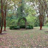 Tuckahoe Plantation Garden