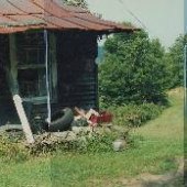 Abandoned Houses - Browns Ridge
