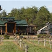 Rassawek Vineyard Summer