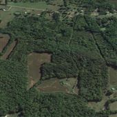Bradshaw Farms