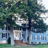 Cimiez Manor