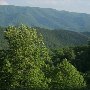 Head Waters Mountains