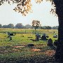 Mt. Calvary Cemetary
