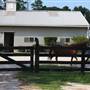 Stonehouse Stables