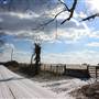 Warrenton Roadshots