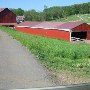 DeLeonardis Farm