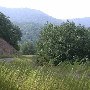 Forest Route 384