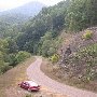 Forest Route 384
