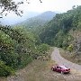 Forest Route 384