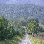 Etlan Scenics