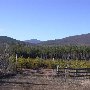 Buffalo Ridge