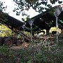 Morris Logging