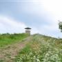 High Knob Observation Tower