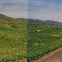 Landscapes - Madison County