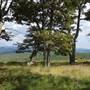 Bear Mountain