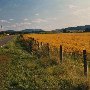 Scenics - Rappahanocock County
