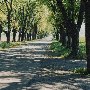 Scenic Road - Rt. 720