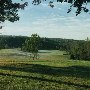 Coalson Farm