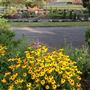 The Greenhouse Venue at Greenscapes Nursery & Garden Shoppe