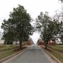 Old City Cemetery