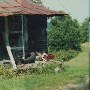 Abandoned Houses - Browns Ridge