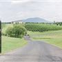 CrossKeys Vineyard
