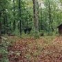 Lake Charles Woods