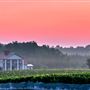 Rosemont Vineyards