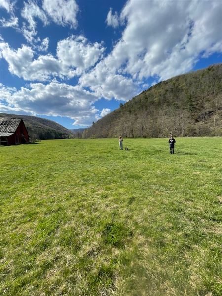 Townsend Draft Farm