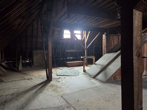 The Dunnington Mansion (8/3/2026 - Credits: Joe Cacciotti)