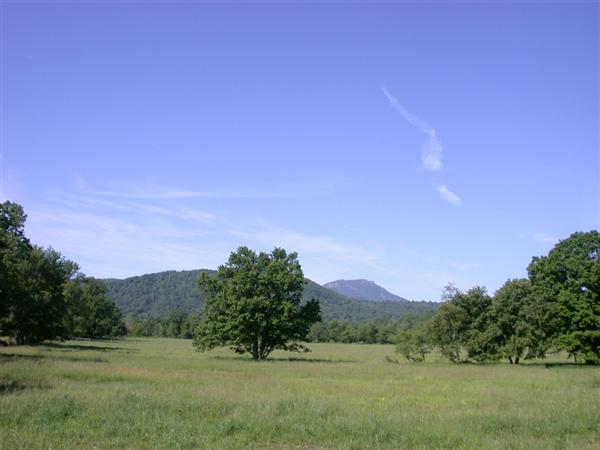 Route 231 - Revercombs Corner (10/29/2009)