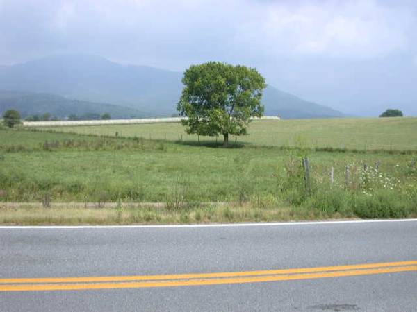 Scenic Roadshots - Rt. 231 - Etlan (7/14/2008)