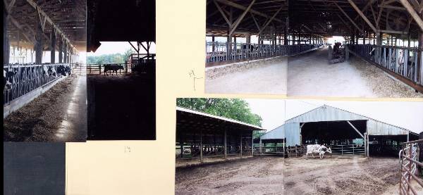 Oakmulgee Dairy Farm