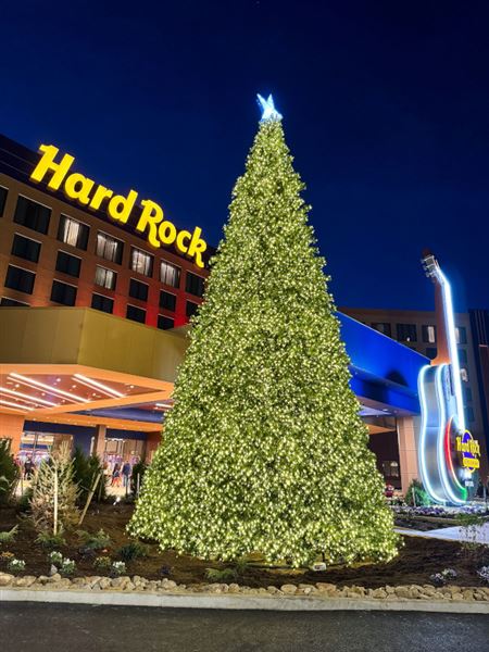 Hard Rock Hotel and Casino