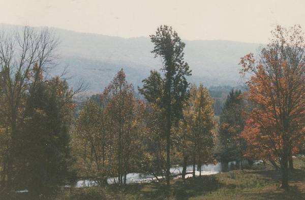 John's Creek Valley