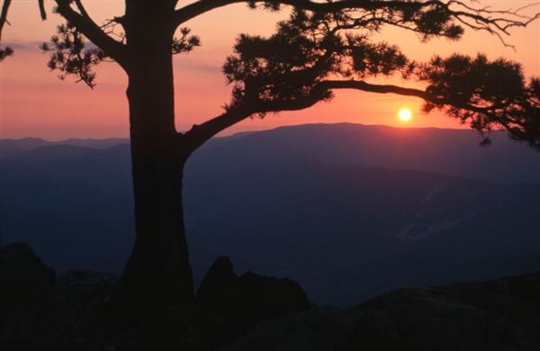 Blue Ridge Parkway - Shenandoah Valley (5/26/2016)