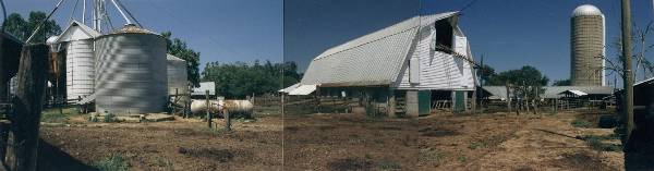 Oakmulgee Dairy Farm