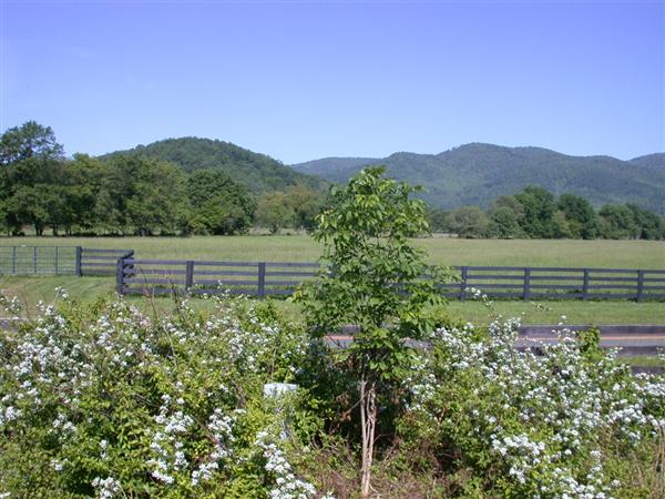 Route 231 - Revercombs Corner (10/29/2009)